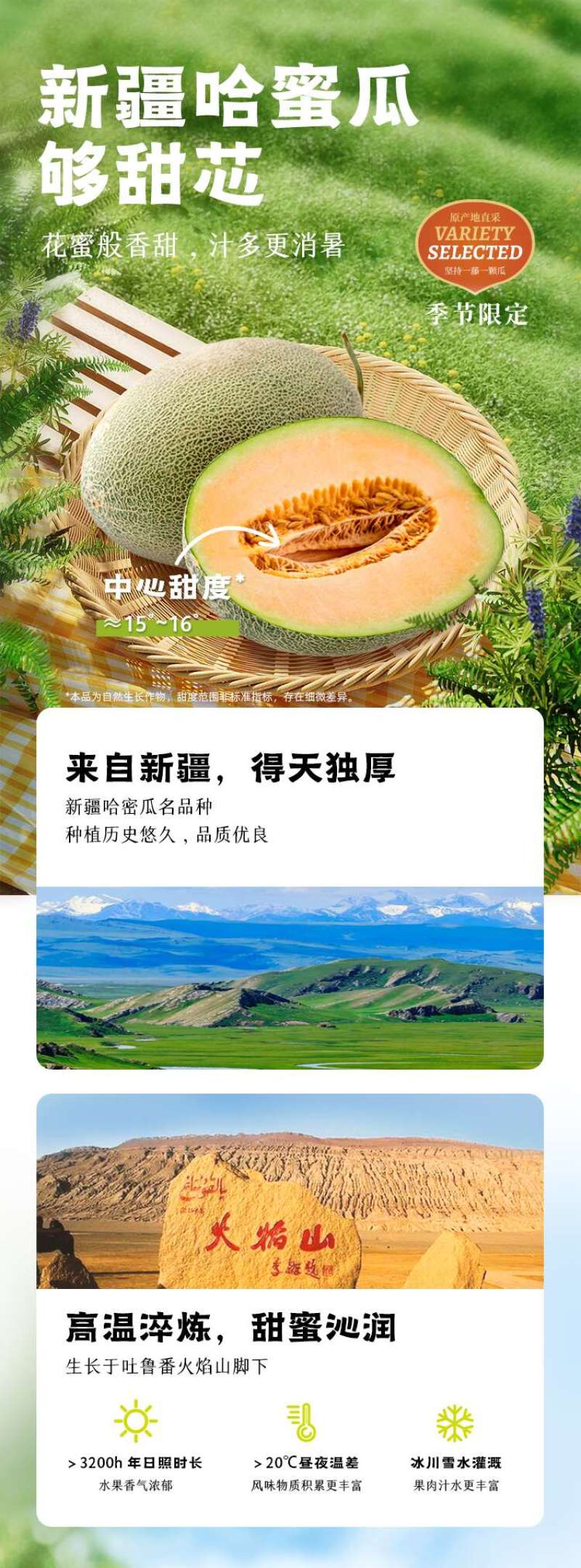 【每日推荐】新疆西州蜜25号，新疆哈密瓜产地直发品质保障