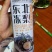 东北冻梨精酿啤酒
