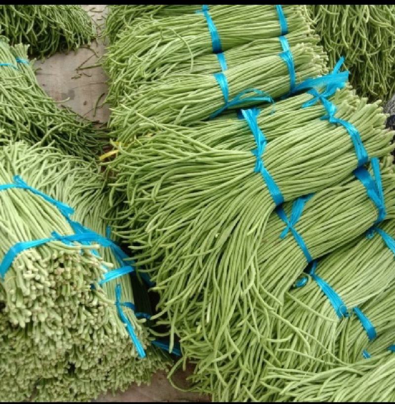 湖南精品长豆角上市了