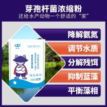高活芽孢杆菌混合饲料添加剂鱼虾蟹塘调水净水抑制蓝藻降氨氮