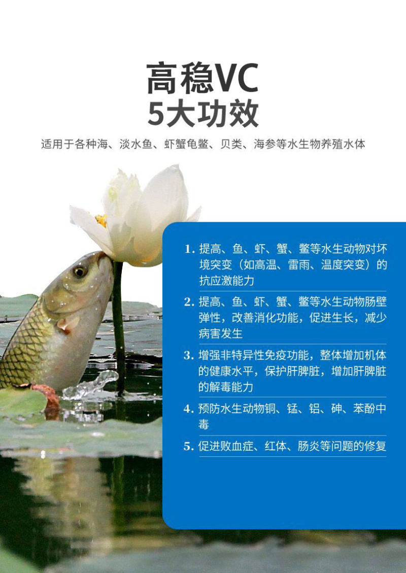 水产养殖维生素C解毒VC应激灵抗应激增强免疫厂家直销