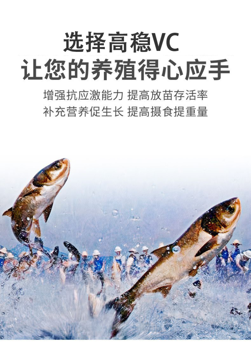 水产养殖维生素C解毒VC应激灵抗应激增强免疫厂家直销