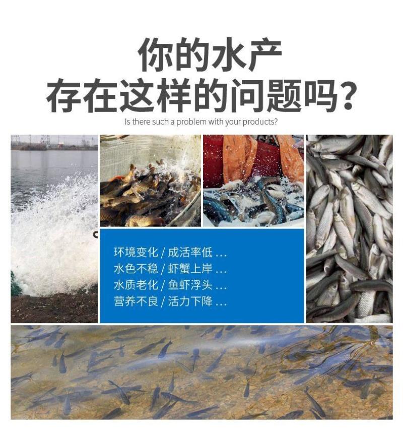 水产养殖维生素C解毒VC应激灵抗应激增强免疫厂家直销