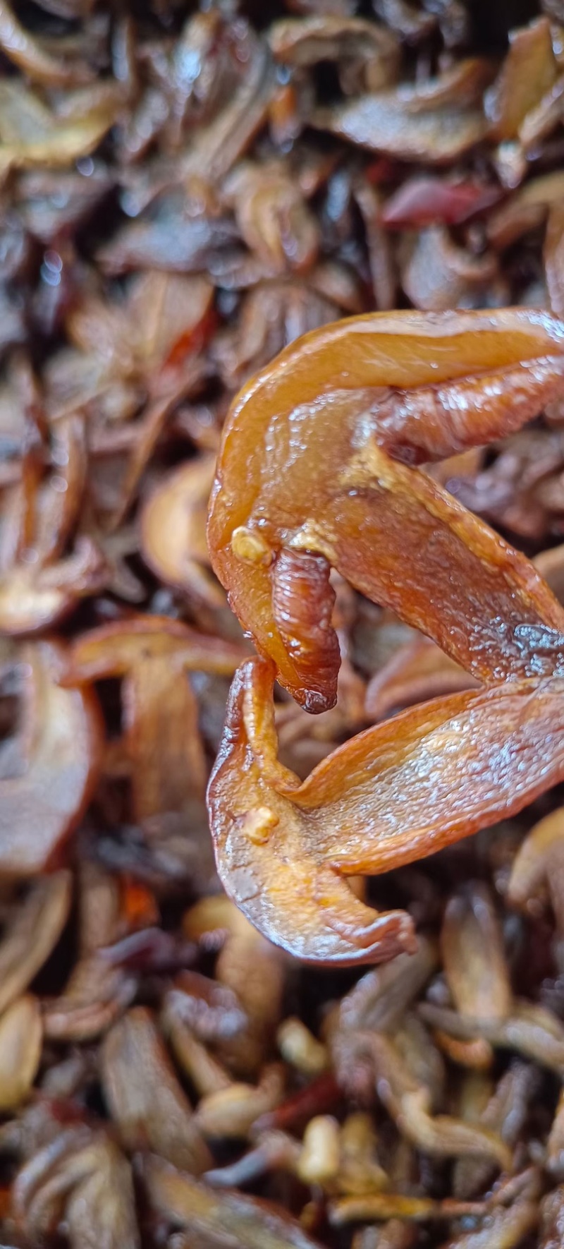油炸牛肝菌