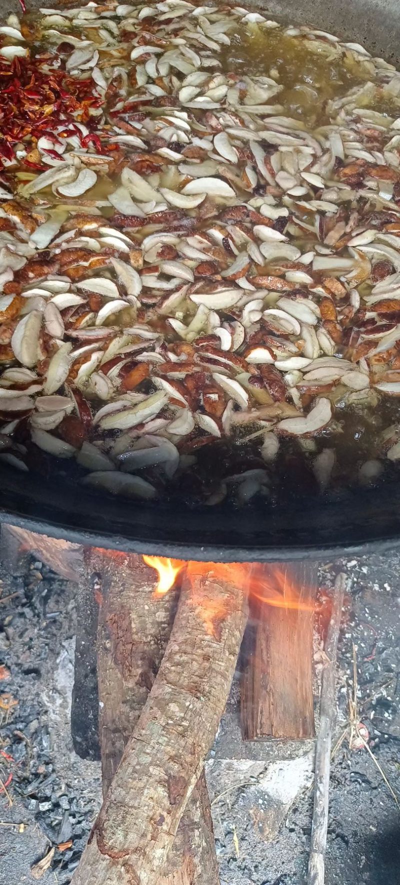 油炸牛肝菌