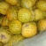 【推荐】花蜜甜瓜,八里香甜瓜供应市场商超电商