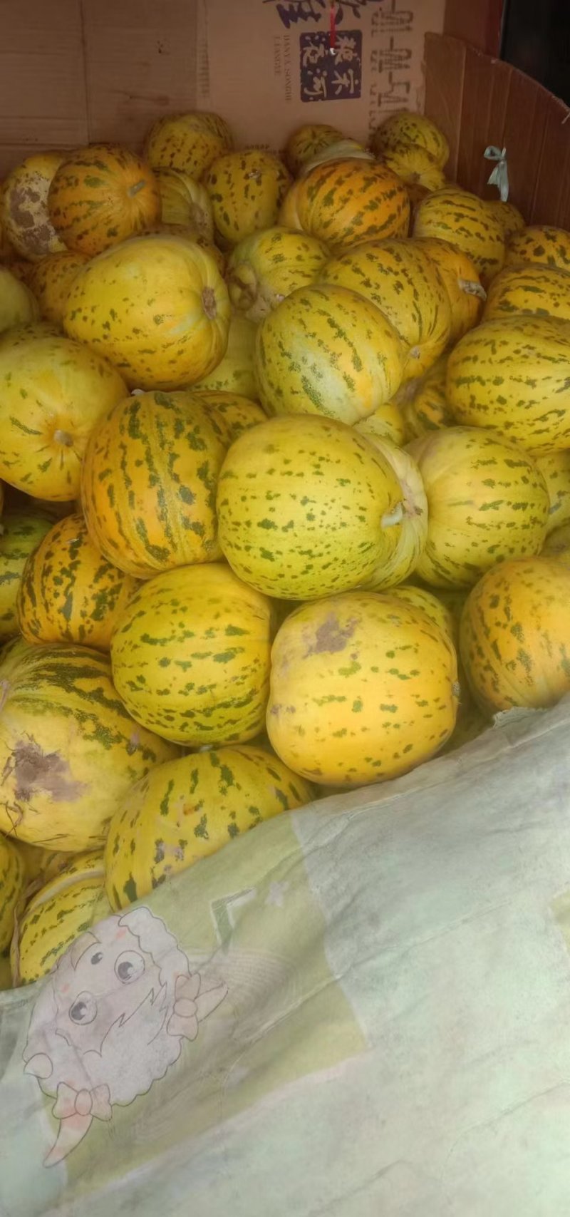 【推荐】花蜜甜瓜，八里香甜瓜供应市场商超电商