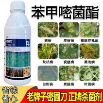密圃刀苯甲嘧菌酯炭疽病褐斑穿孔病纹枯病黑斑病白粉病叶
