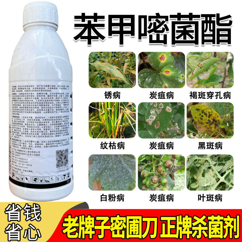 密圃刀苯甲嘧菌酯炭疽病褐斑穿孔病纹枯病黑斑病白粉病叶
