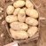 沃土土豆希森黄心黄皮土豆规格齐全代收代发全国市场