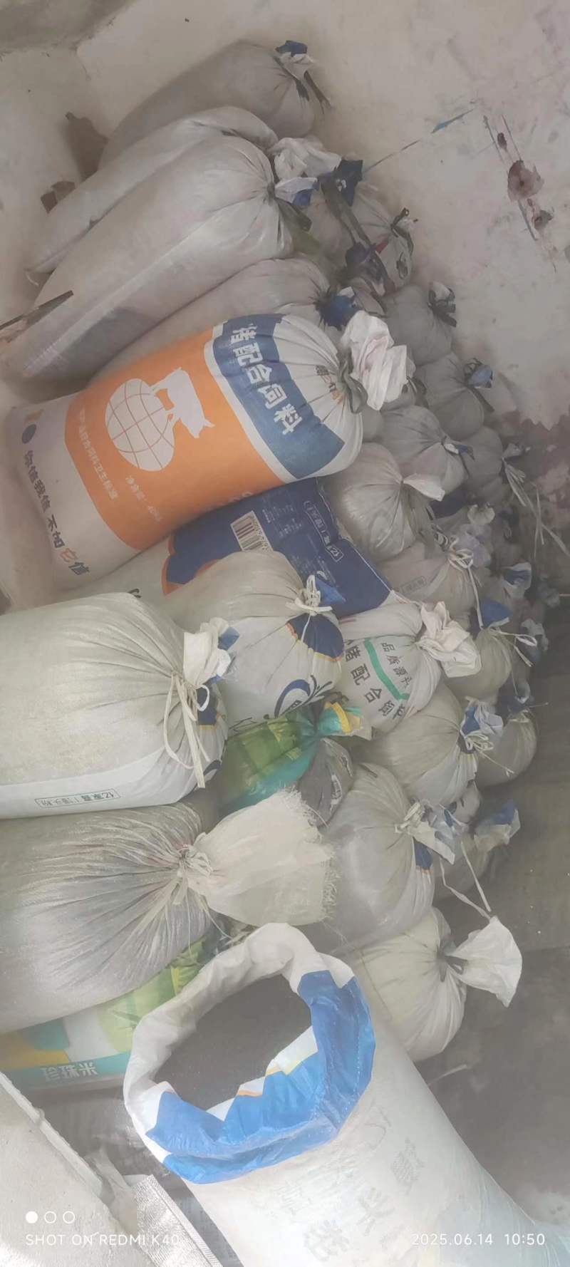 上海自产油菜籽