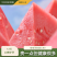 8424西瓜/美都西瓜/麒麟西瓜/产地货源/全国供应批发