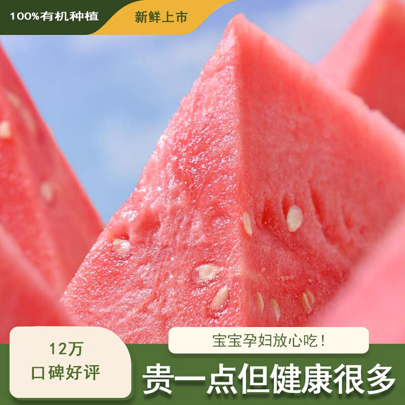 8424西瓜/美都西瓜/麒麟西瓜/产地货源/全国供应批发