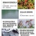 弧菌克星水产养殖弧菌专用绿弧菌黄弧菌生物杀菌