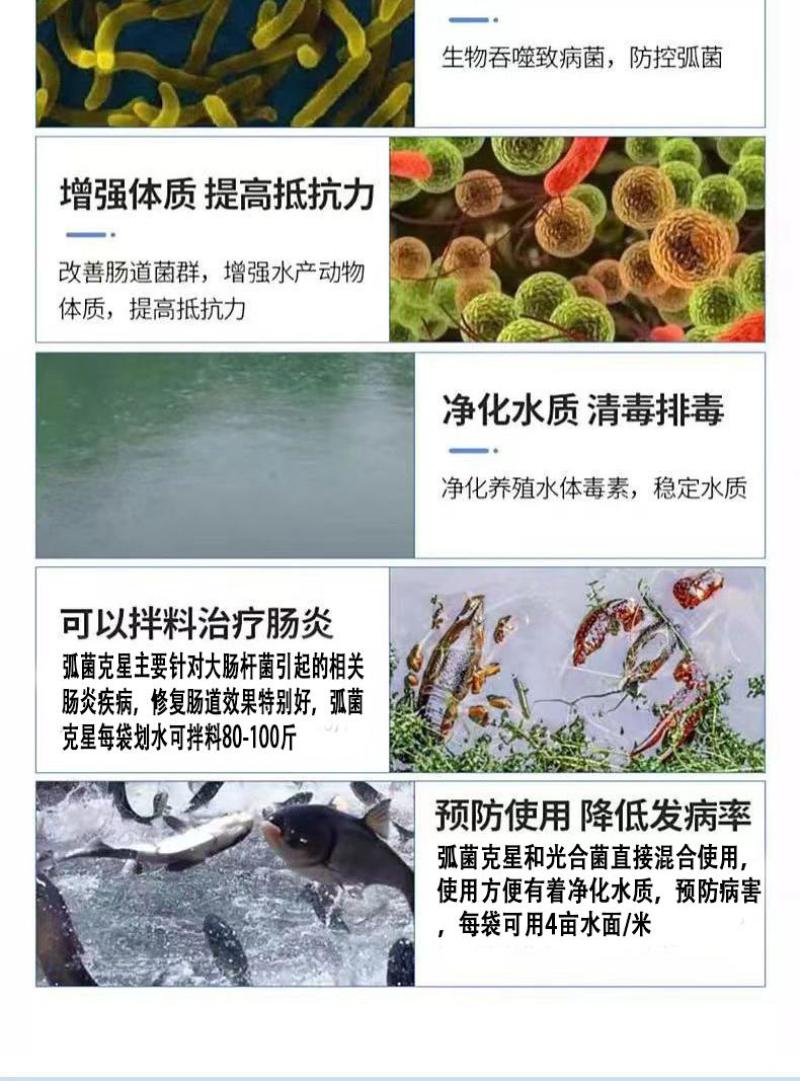 弧菌克星水产养殖弧菌专用绿弧菌黄弧菌生物杀菌