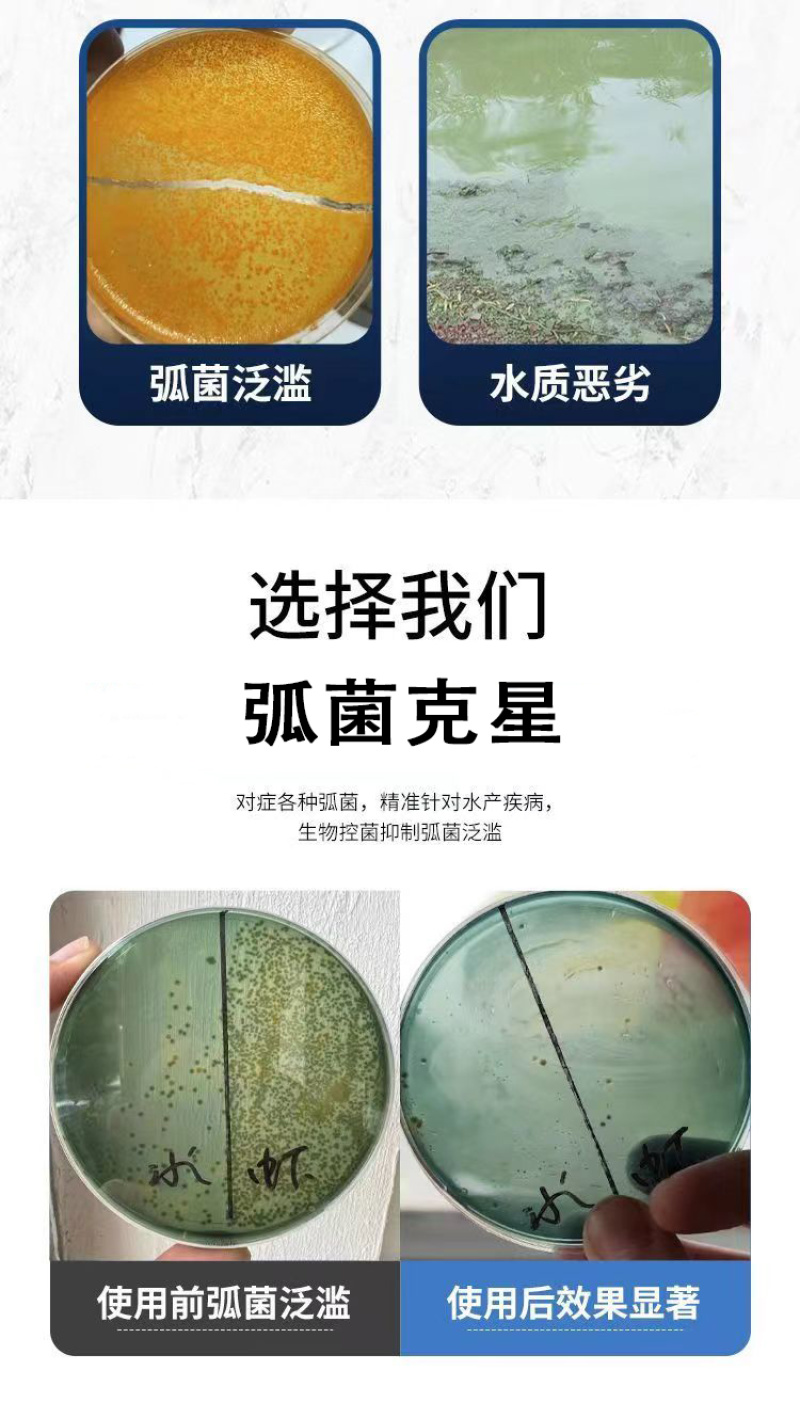 弧菌克星水产养殖弧菌专用绿弧菌黄弧菌生物杀菌