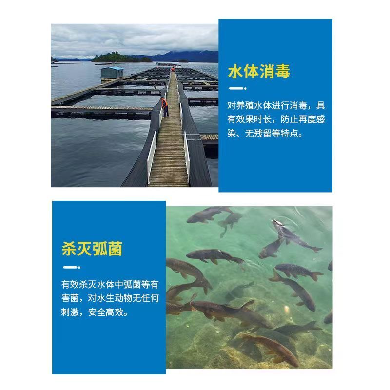 弧菌克星水产养殖弧菌专用绿弧菌黄弧菌生物杀菌