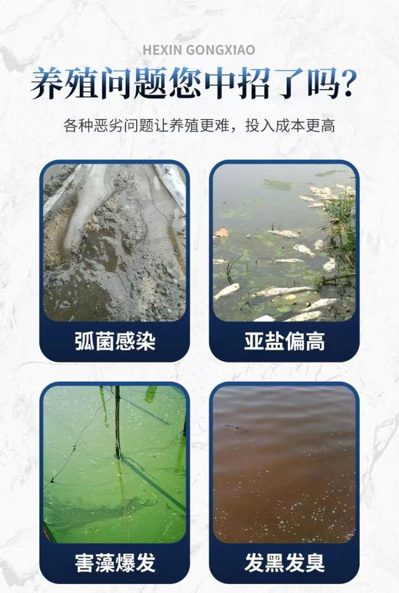 弧菌克星水产养殖弧菌专用绿弧菌黄弧菌生物杀菌