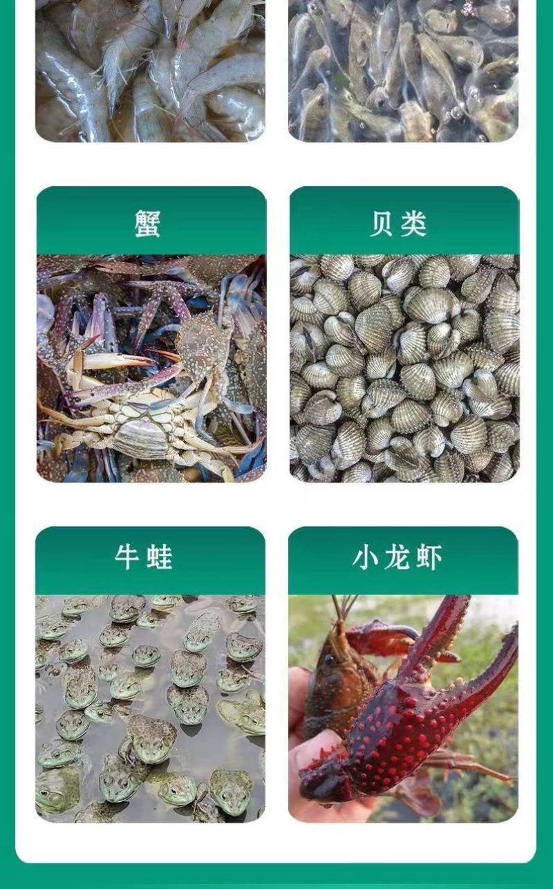 弧菌克星水产养殖弧菌专用绿弧菌黄弧菌生物杀菌