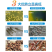 弧菌克星水产养殖弧菌专用绿弧菌黄弧菌生物杀菌