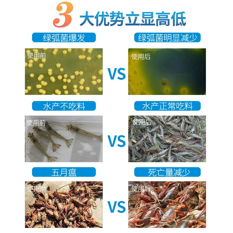 弧菌克星水产养殖弧菌专用绿弧菌黄弧菌生物杀菌