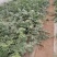 美都西瓜/麒麟西瓜大量接单产地直发量大从优欢迎下单