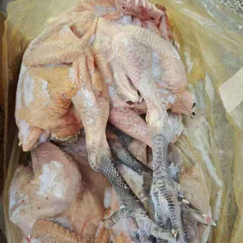 麻鸡三黄鸡规格齐全价格低