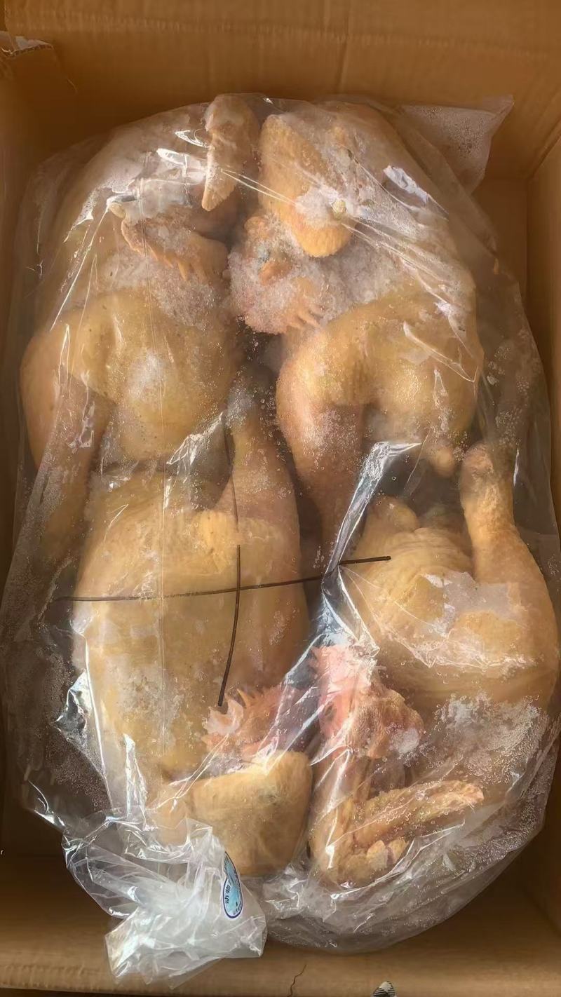 麻鸡三黄鸡规格齐全价格低