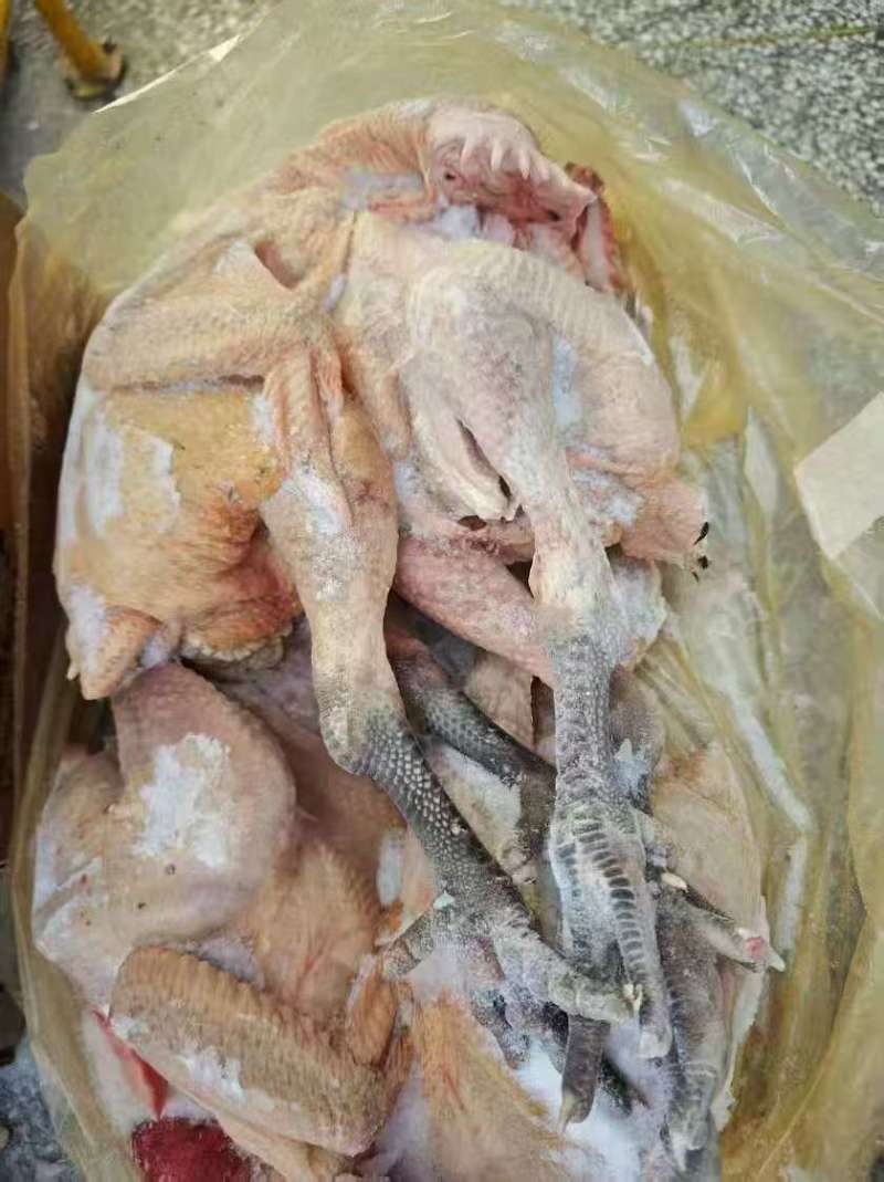 麻鸡三黄鸡规格齐全价格低