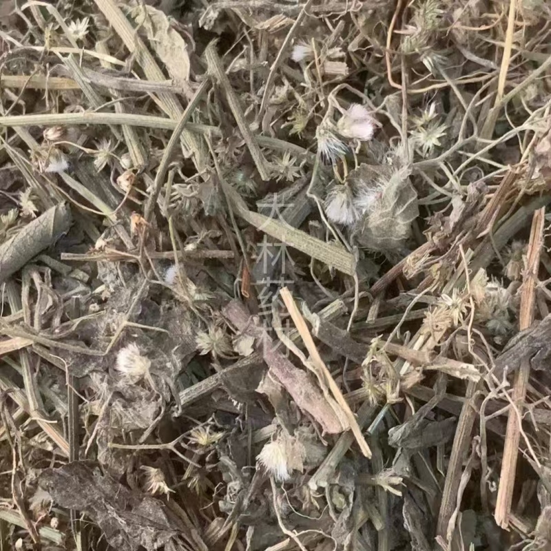 夜香牛【包邮】三斤起发货可批量可零售量大从优