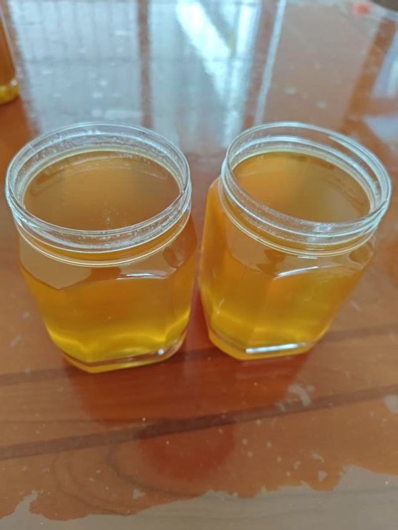 精品荔枝蜜大量供货品质保证欢迎下单品尝品质保证