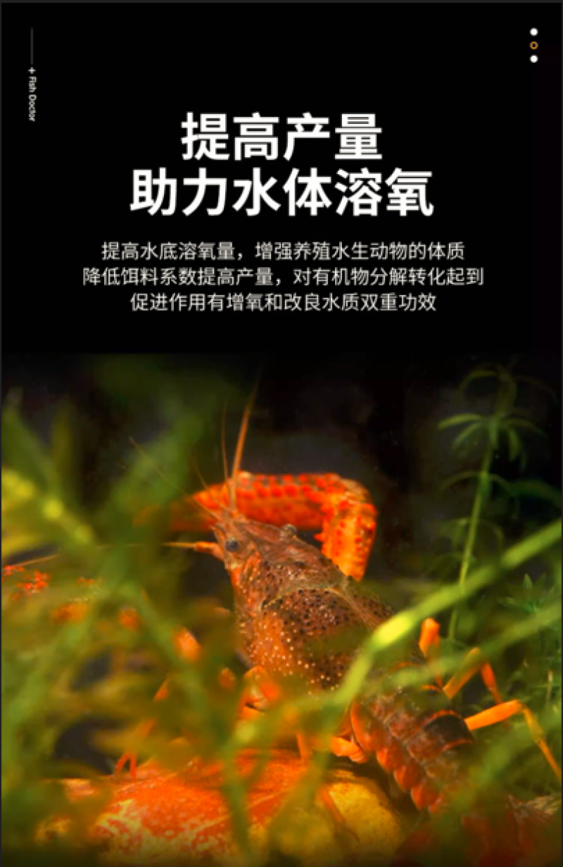 活粒氧鱼塘增氧颗粒鱼虾蟹水产养殖增加溶氧改善水质