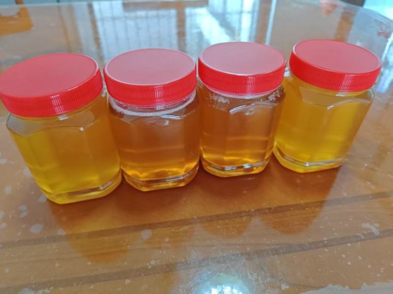大量龙眼蜂蜜供应批发零售都可以品质保证来电洽谈价优