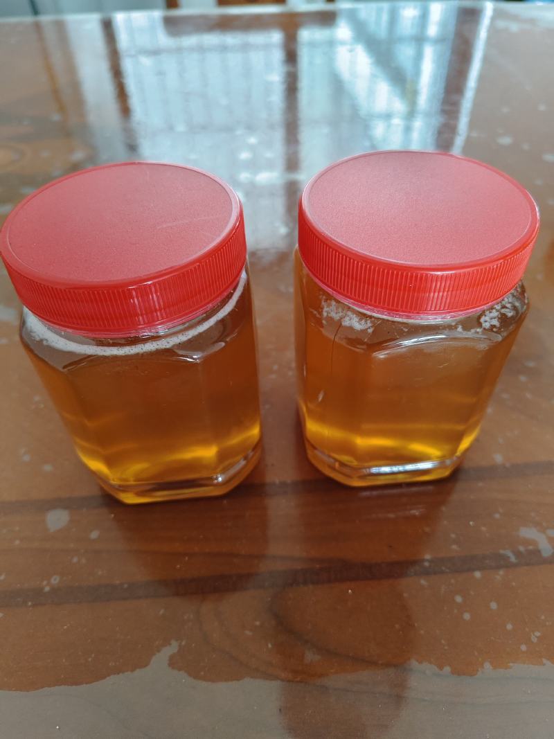 大量龙眼蜂蜜供应批发零售都可以品质保证来电洽谈价优