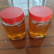 大量龙眼蜂蜜供应批发零售都可以品质保证来电洽谈价优