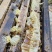 大量龙眼蜂蜜供应批发零售都可以品质保证来电洽谈价优