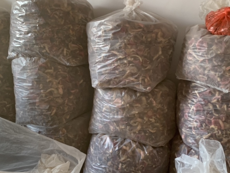 大红菌干片