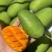 攀枝花椰香芒果大量出货对接市场电商平台
