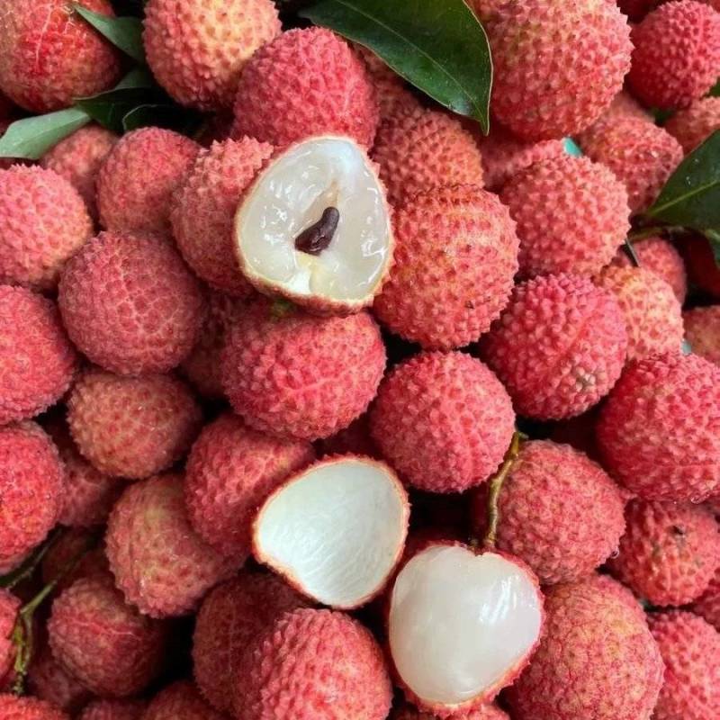 广东桂味荔枝，从化产区！5000斤起批，4.5元/斤