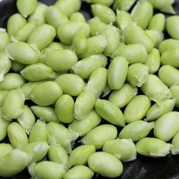 2025鲜毛豆粒，鲜毛豆夹，大量现货供应商超食堂市场