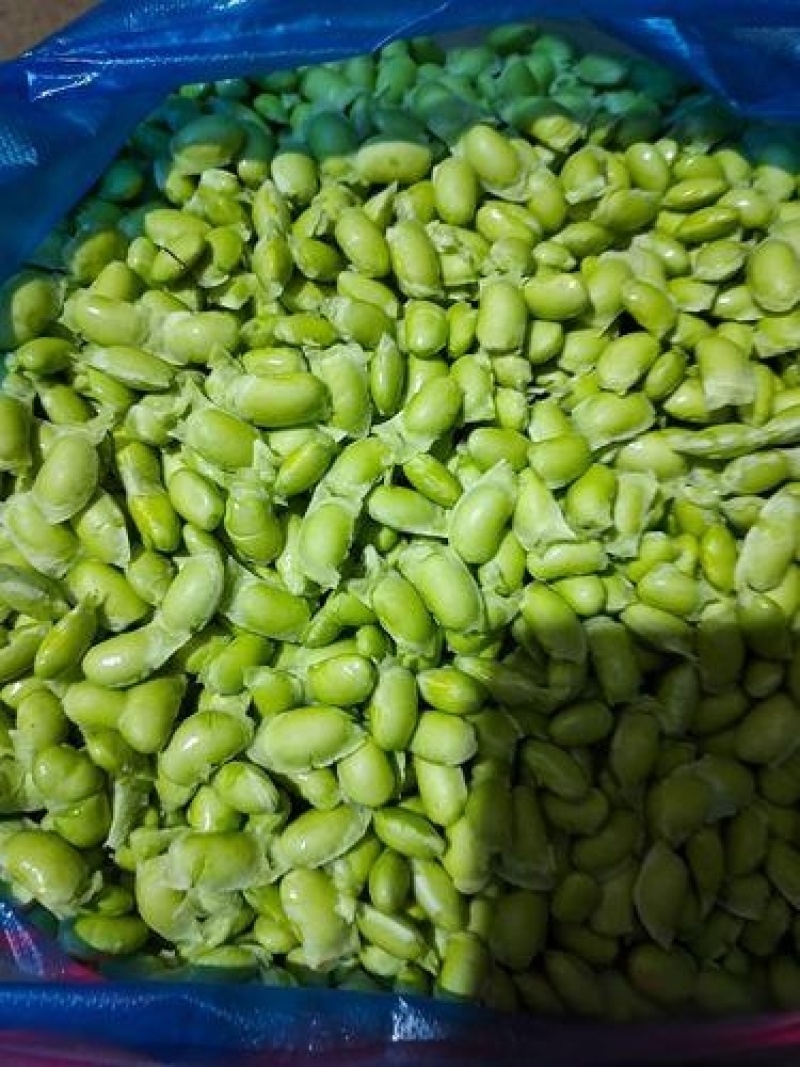 2025鲜毛豆粒，鲜毛豆夹，大量现货供应商超食堂市场