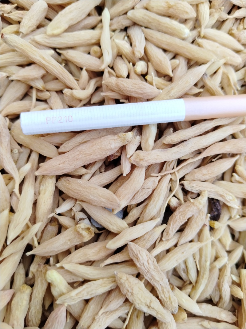 麦冬欢迎电话咨询正品保证规格齐全**抢购