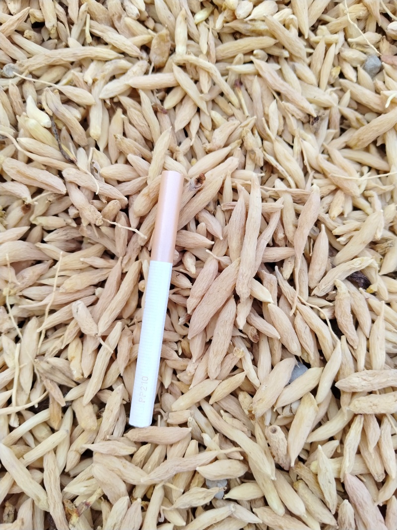 麦冬欢迎电话咨询正品保证规格齐全**抢购