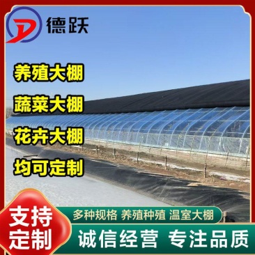 成套大棚蔬菜种植大棚菌菇养殖大棚可安装养殖大棚欢迎咨询