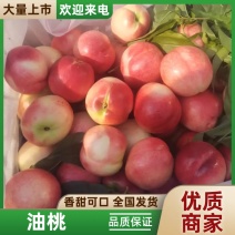 油桃香甜可口全国发货品质保证大量上市欢迎来电
