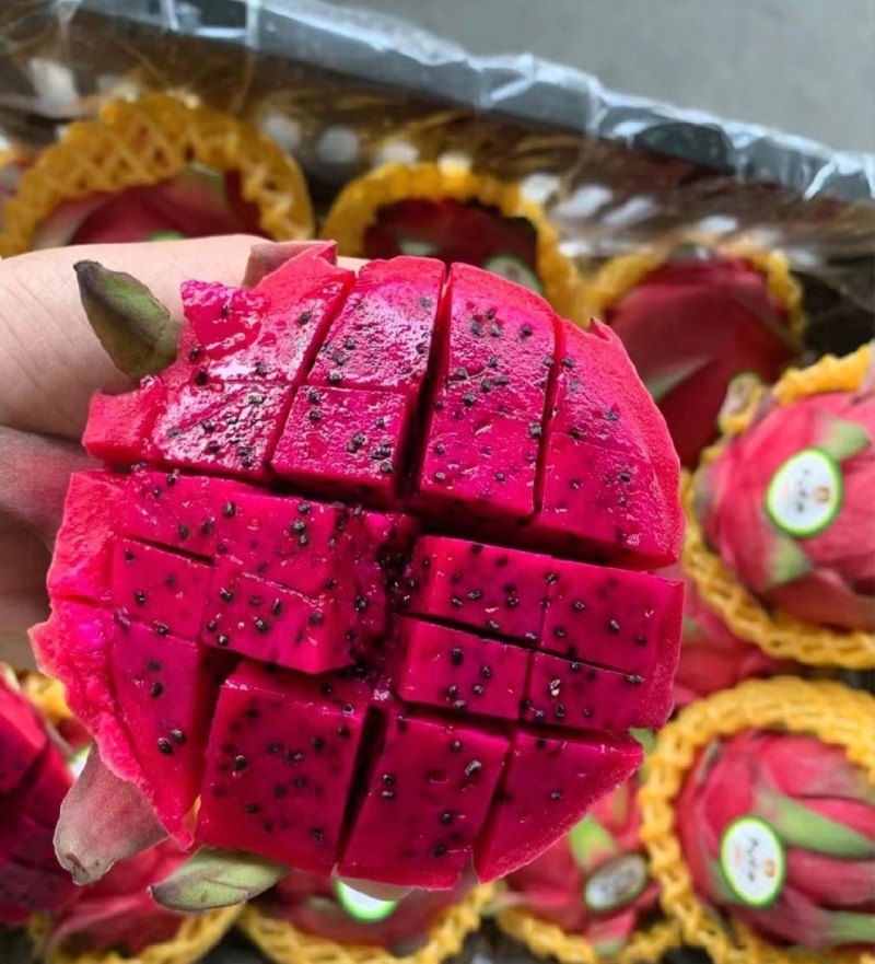 推荐广东火龙果精品红心火龙果金都一号货源充足联系