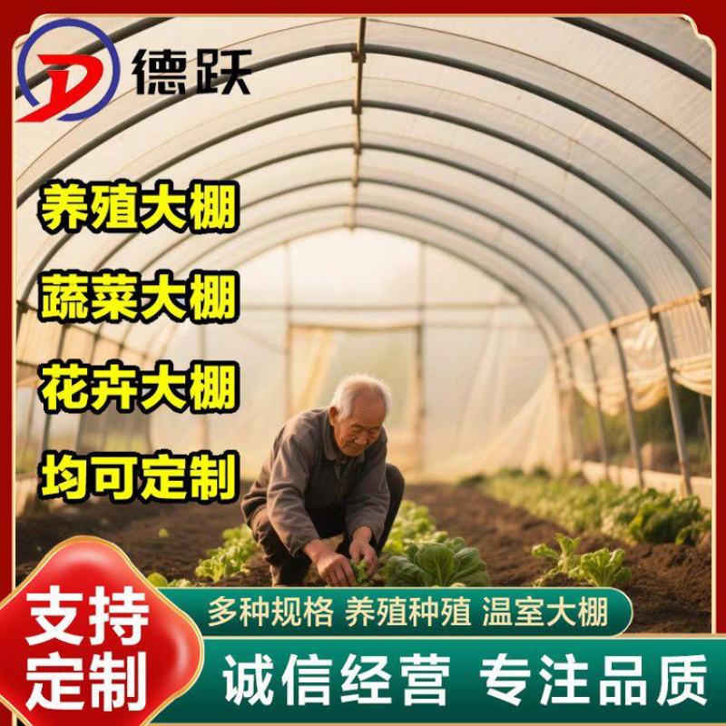 春秋种植棚蔬菜种植冷棚热镀锌钢骨架结实耐用全国施工
