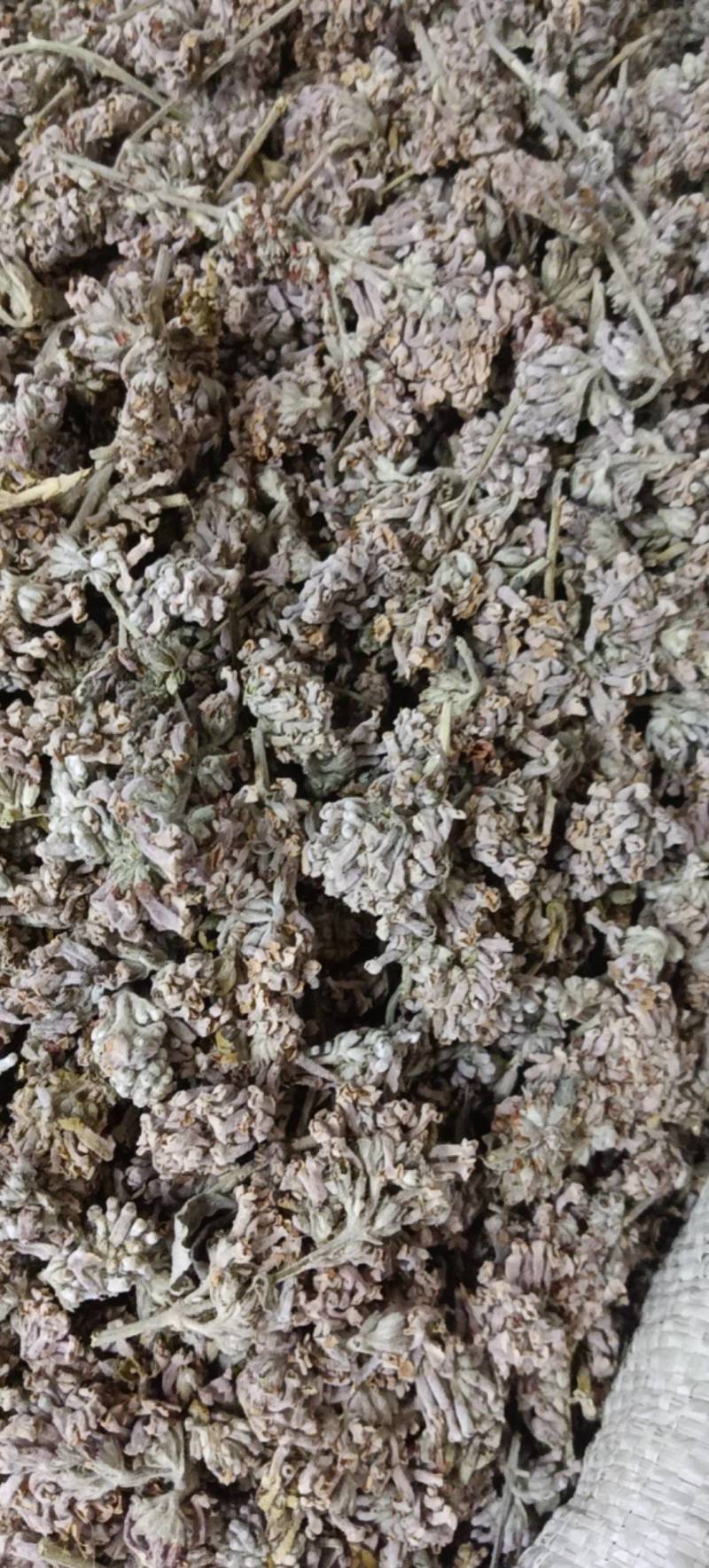 四川中药材密蒙花一手货源质量保证对接全国发货