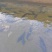 贵州冷水鲟鱼