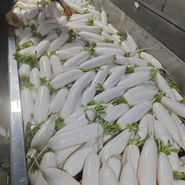 全国最牛逼的货